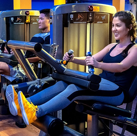 Equipamentos de musculação