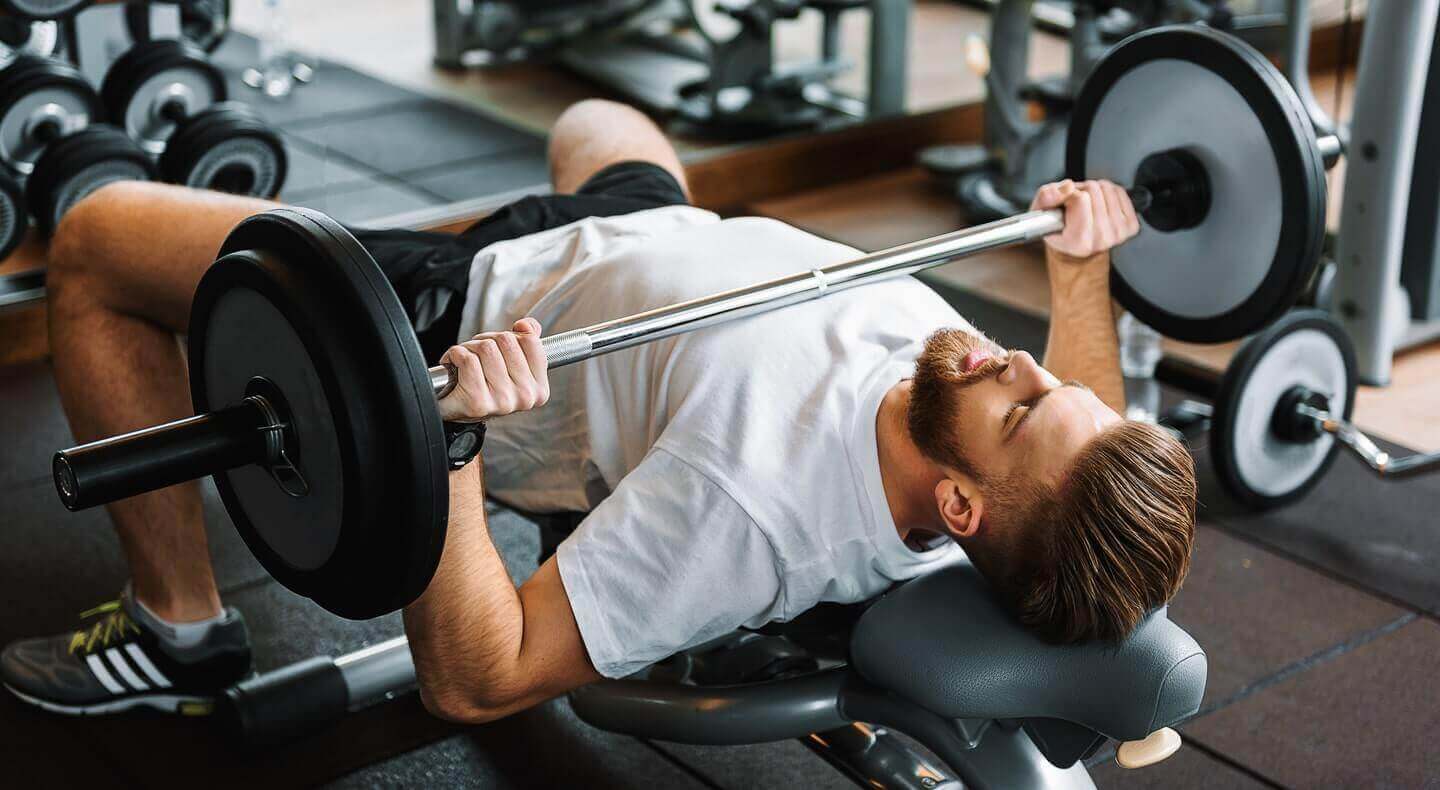 O supino reto com halter é um dos principais exercícios para o peitora