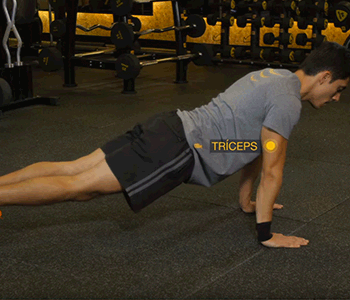 5 Tipos de flexão de braço para variar o treino - Fitness - Smart Fit News