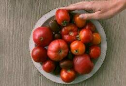 Imagem de uma bacia com diversas variedades de tomate
