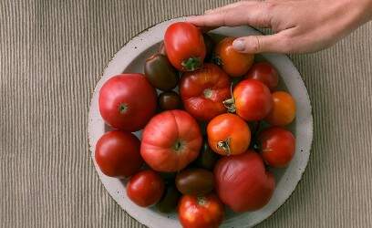 Imagem de uma bacia com diversas variedades de tomate