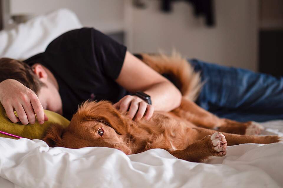 Imagem mostra homem tirando um cochilo abraçado a um cachorro