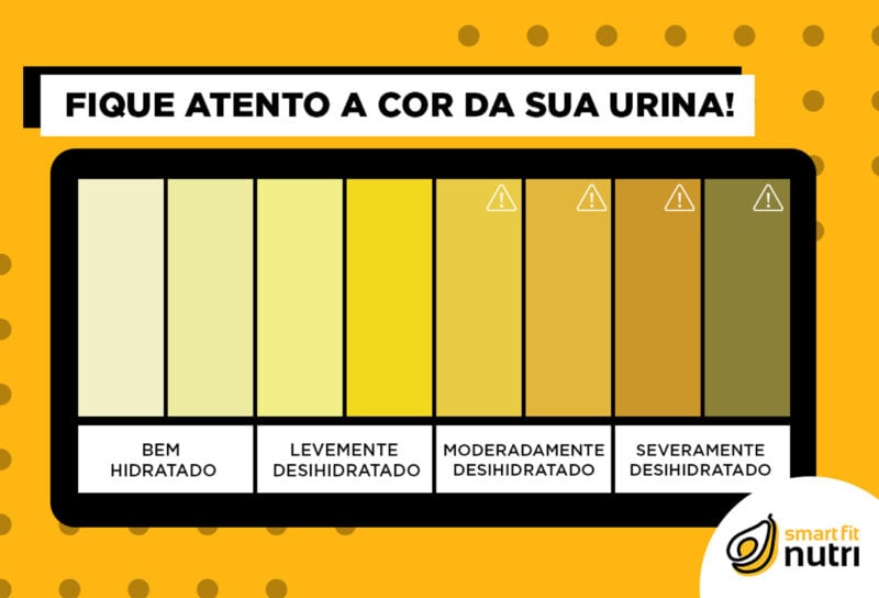 A cor do seu xixi diz muito sobre sua saúde - Smart Fit News
